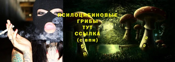 марки lsd Белокуриха
