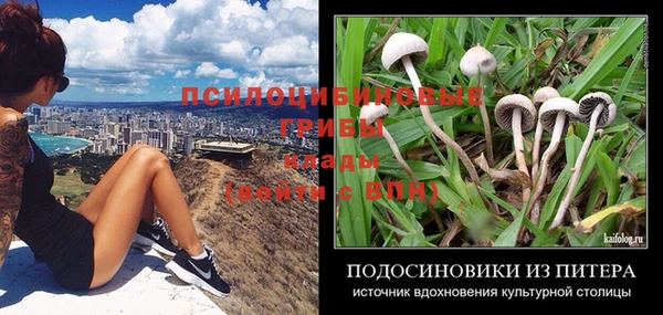 дживик Беломорск