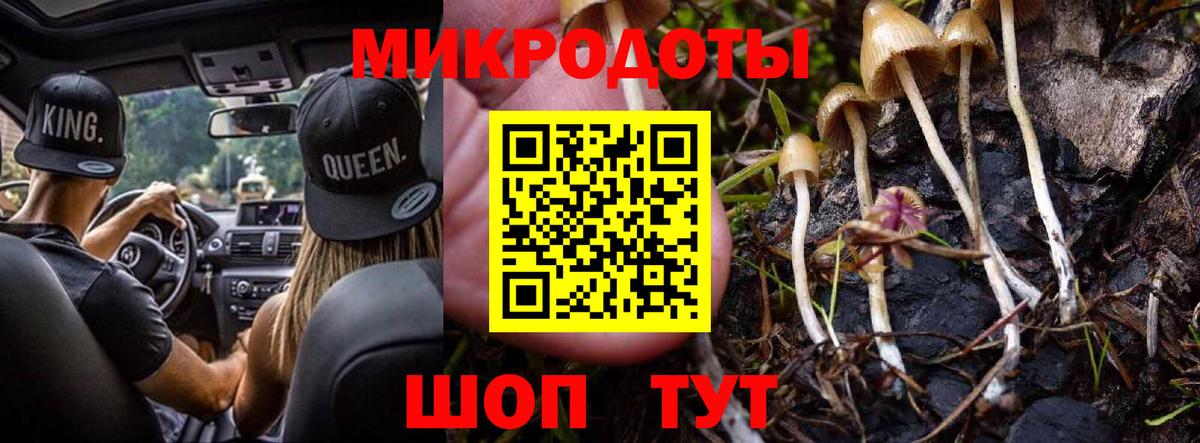Армавир  Галлюциногенные грибы ЛСД  Вход с VPN 